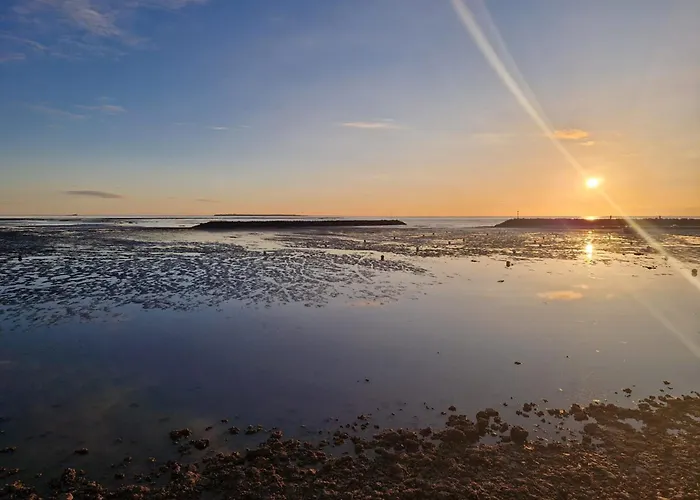 Avec Piscine à 15 Min De La Rochelle, Proche Plages Et Commerces - Fr-1-706-13