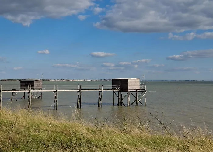 Hébergement de vacances Avec Piscine à 15 Min De La Rochelle, Proche Plages Et Commerces - Fr-1-706-13 *